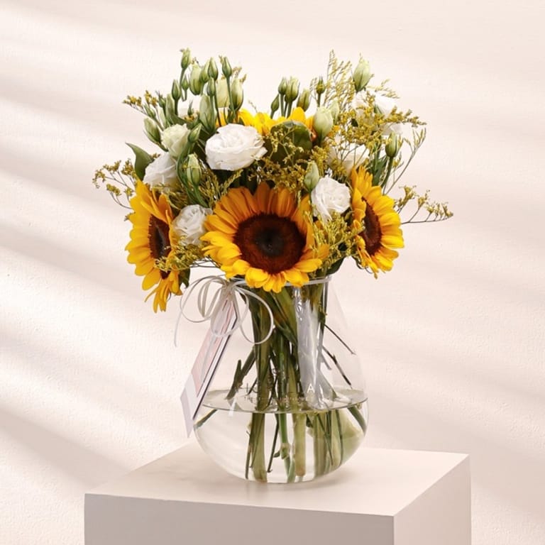 fio radiance - Image 1