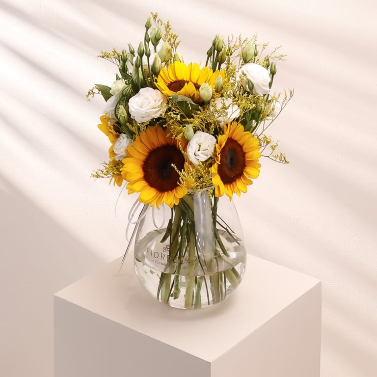 fio radiance - Image 3