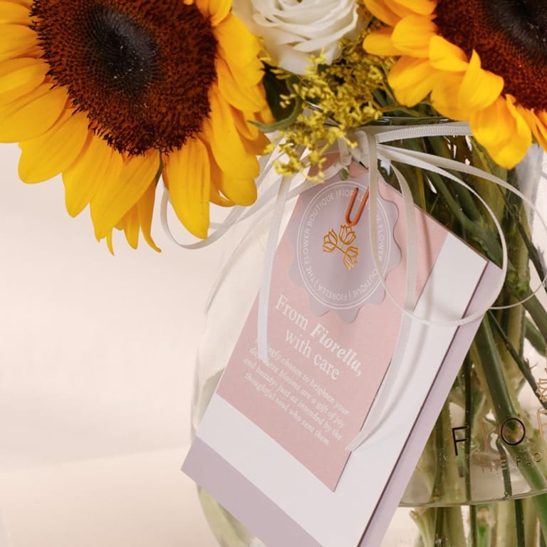 fio radiance - Image 4