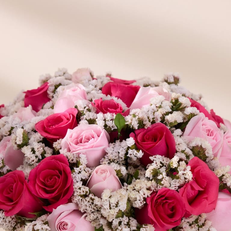 fio blush romance - Image 2