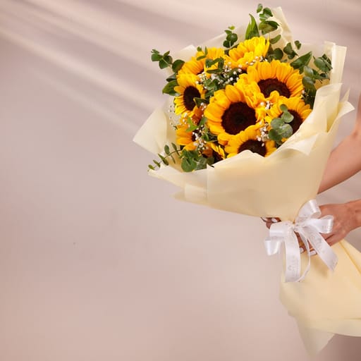 sunflower bloom