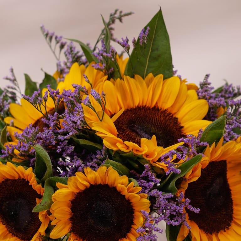 fio sweetness - Image 2