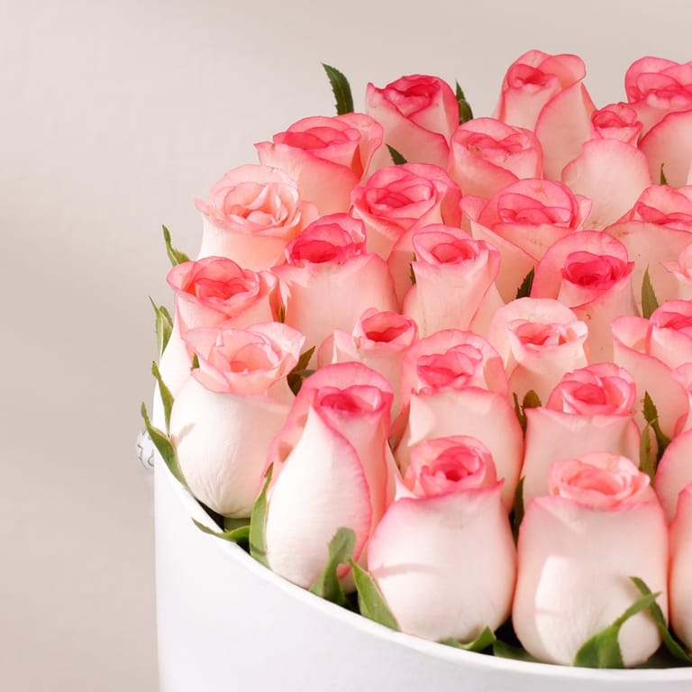 round series - roses - Image 3