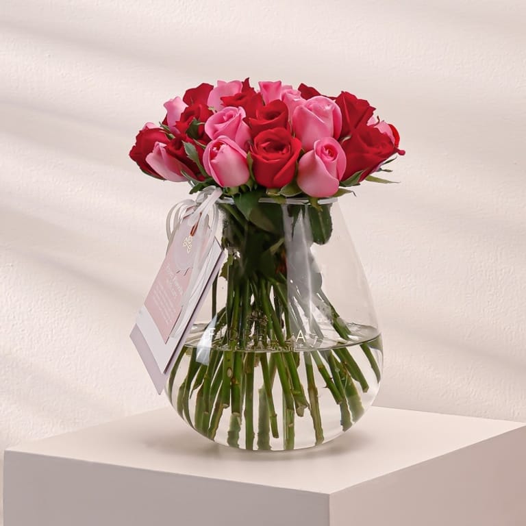 fio romance - Image 1