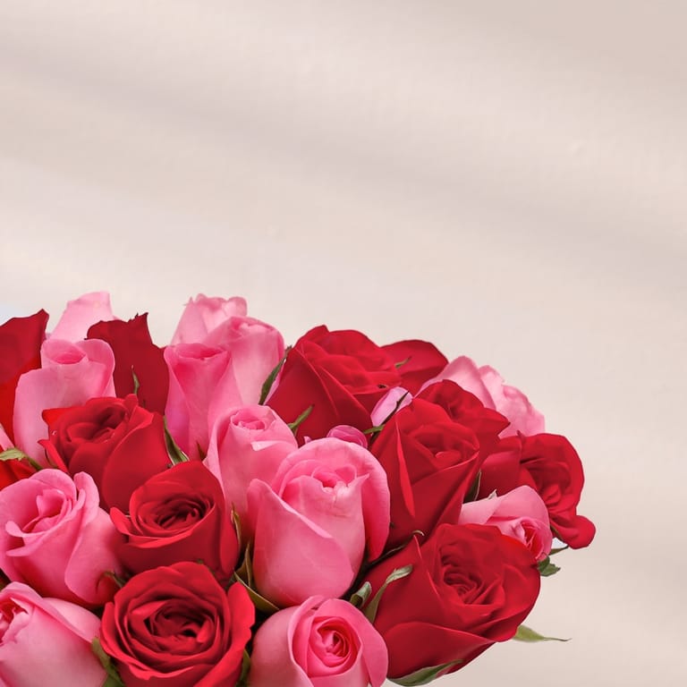 fio romance - Image 2