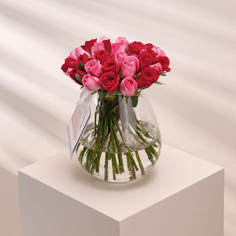 fio romance - Image 3