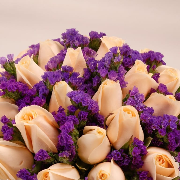 fio elegance - Image 2