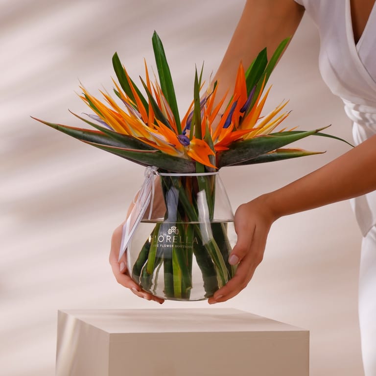 fio cherished - Image 3