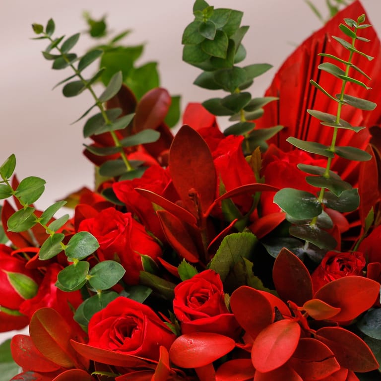 fio kindness - Image 2