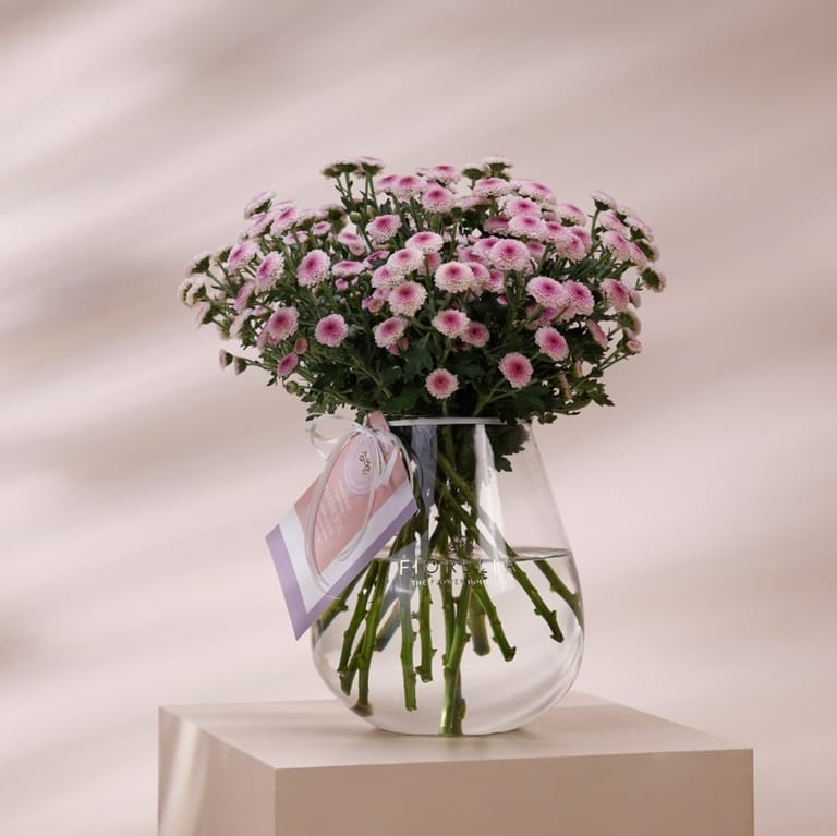 fio precious - Image 1