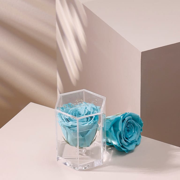 forever hexagon - Image 3