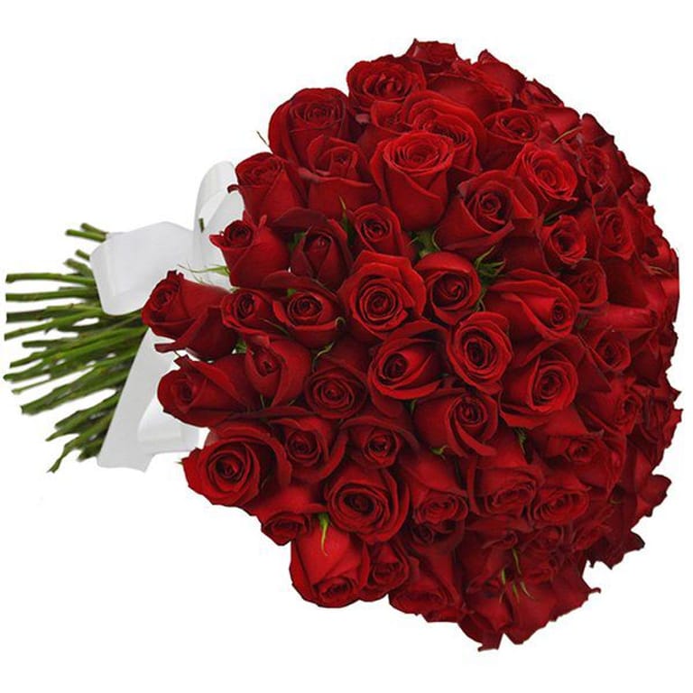 BuquĂȘ de 50 rosas vermelhas nacionais - Image 1