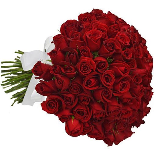 Buquê de 50 rosas vermelhas nacionais