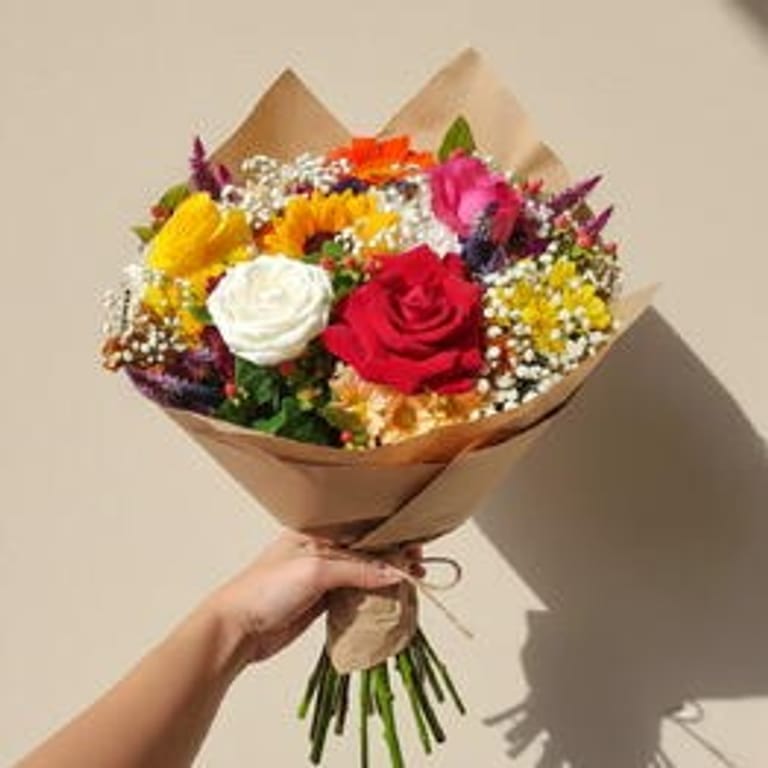 Encanto - Image 1