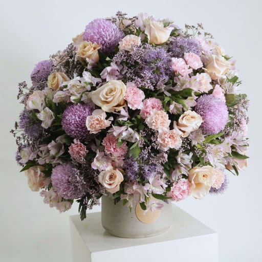 Gardenia V