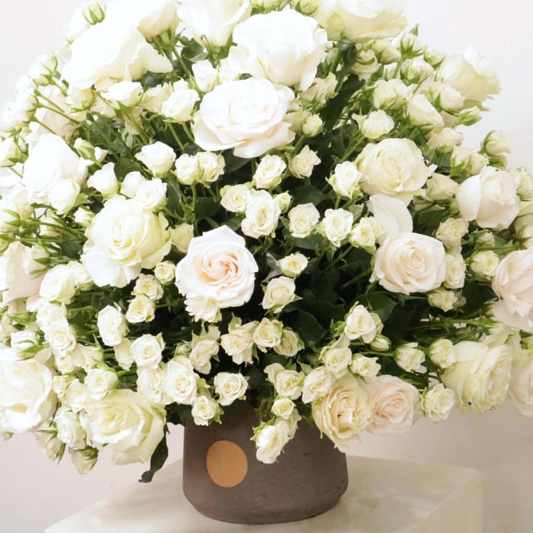 Gardenia IV - Image 1