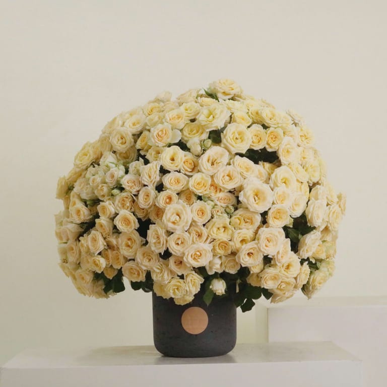 Gardenia III - Image 1