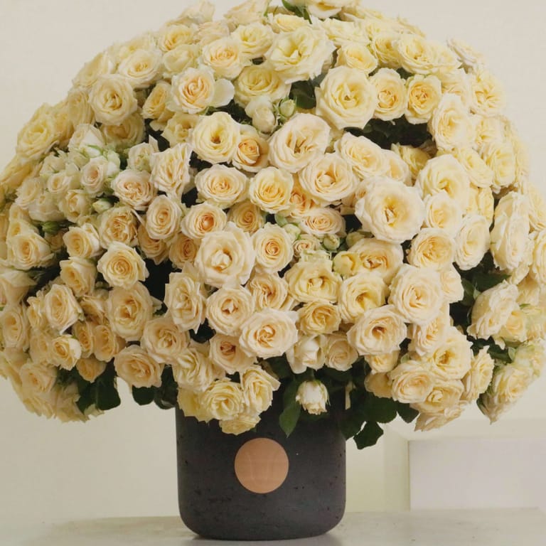 Gardenia III - Image 2