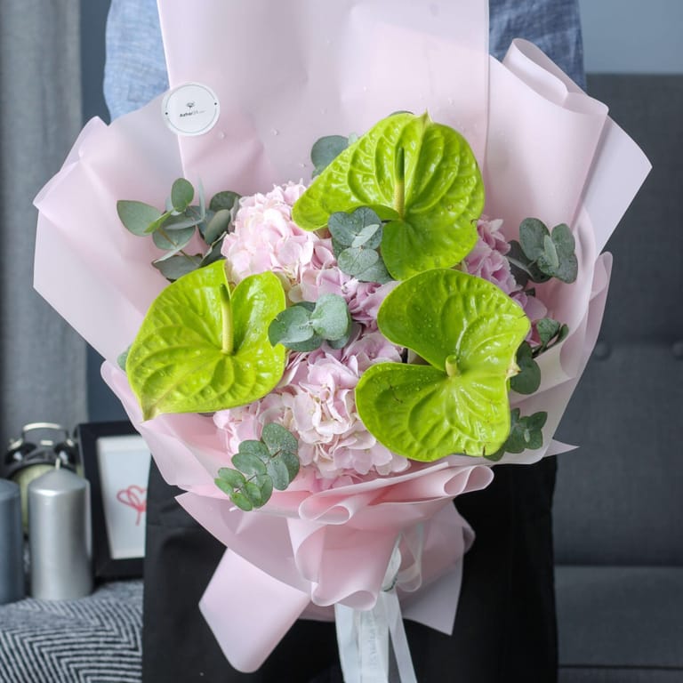 Elegance Bundle - Image 2