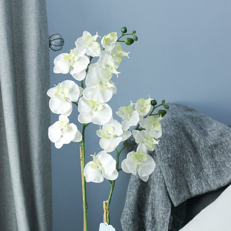 The White Beauty – Artificial - Image 2