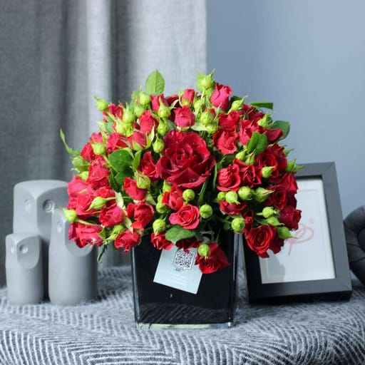 Passionate Blooms