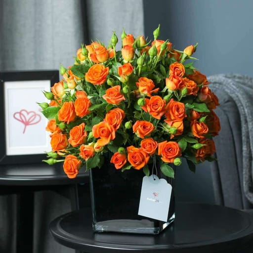 Amber Luxury