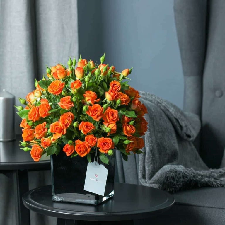 Amber Luxury - Image 2