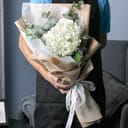 Photo 27212