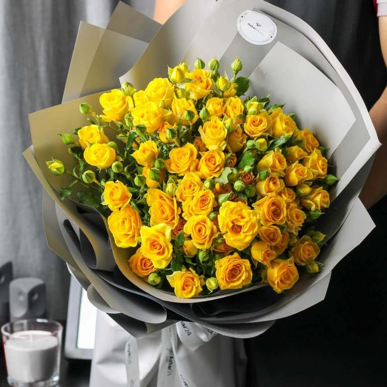 Rose Vival - Image 2