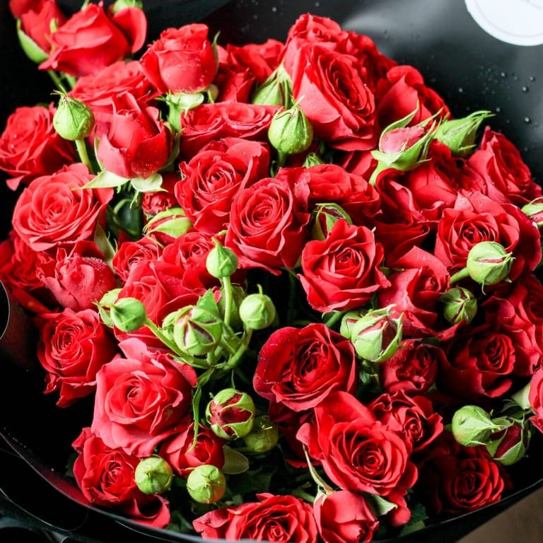 Romantic Time - Image 3