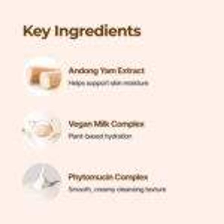 ISNTREE – Yam Root Vegan Milk Cleanser – 220ml - Image 5