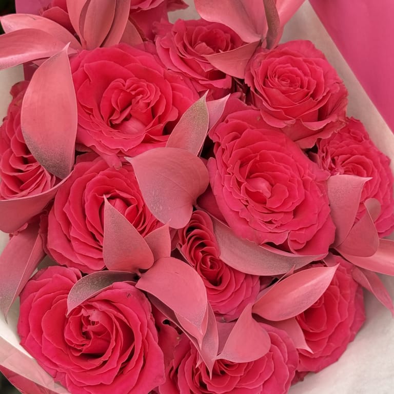 Rosas fucsia 13 tallos - Image 1