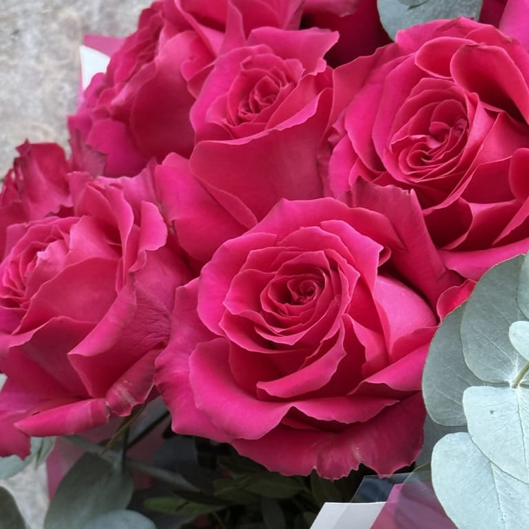 Rosas Fucsia ( 12 rosas ) - Image 5