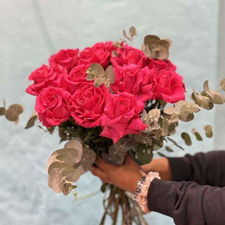 Rosas Fucsia ( 12 rosas ) - Image 6