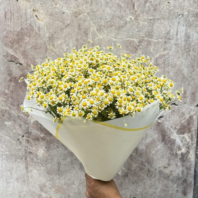 Ramo de Tanacetum - Image 1