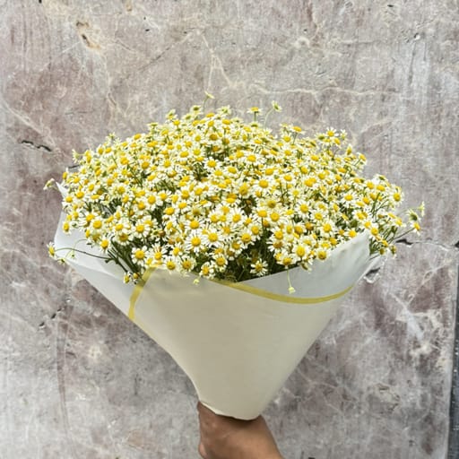 Ramo de Tanacetum