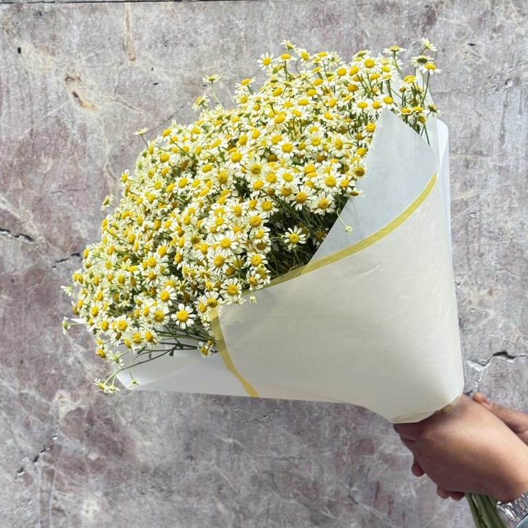 Ramo de Tanacetum - Image 2