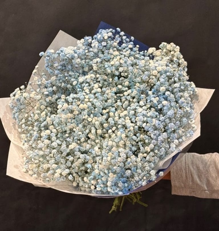 Ramo de paniculata Azul - Image 3