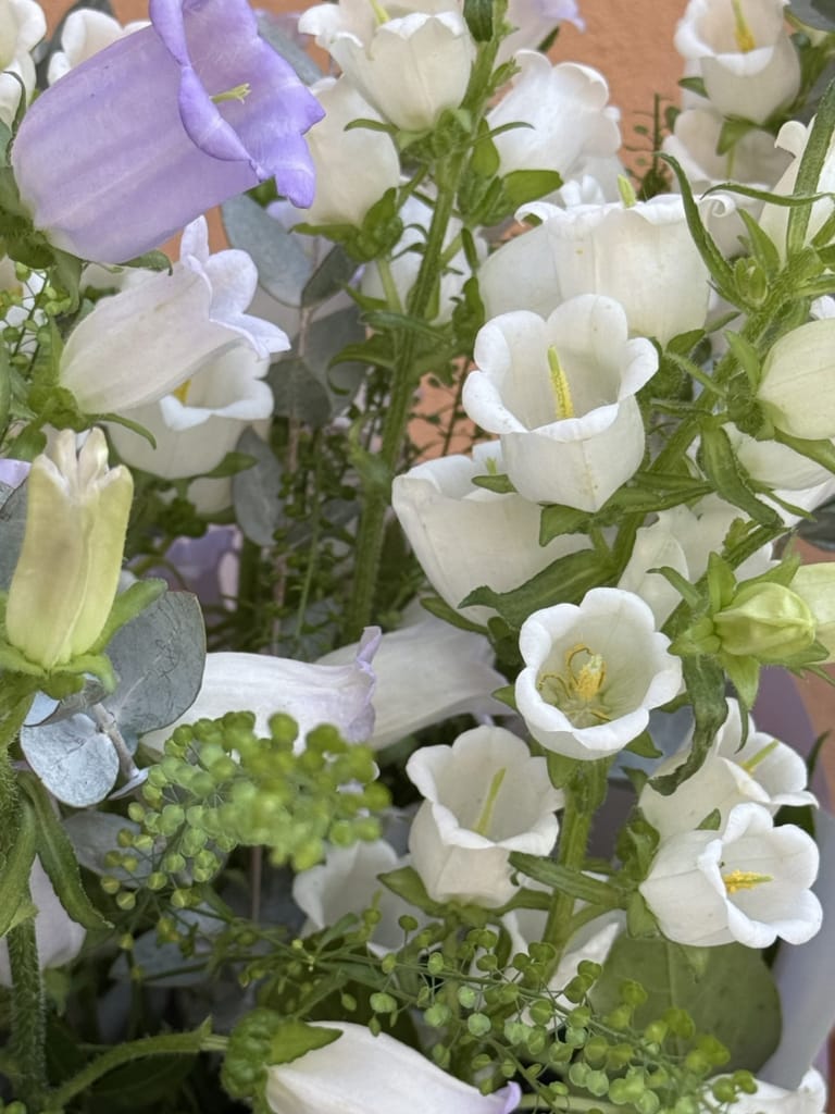 Ramo de Campanula - Image 3
