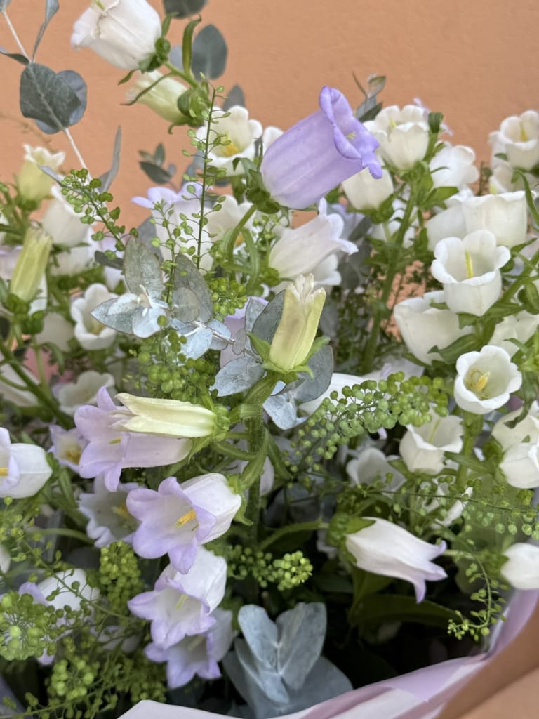 Ramo de Campanula - Image 5