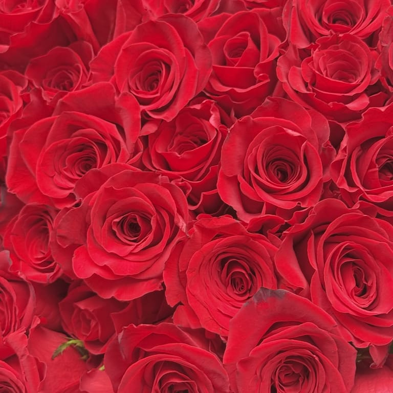 Ramo Amor Eterno - Image 5