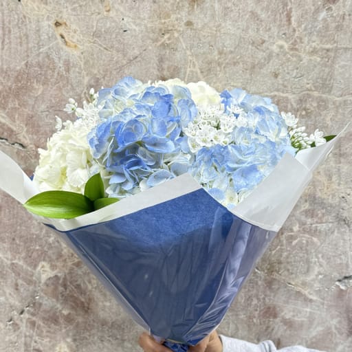Hortensias Azules - Blancas