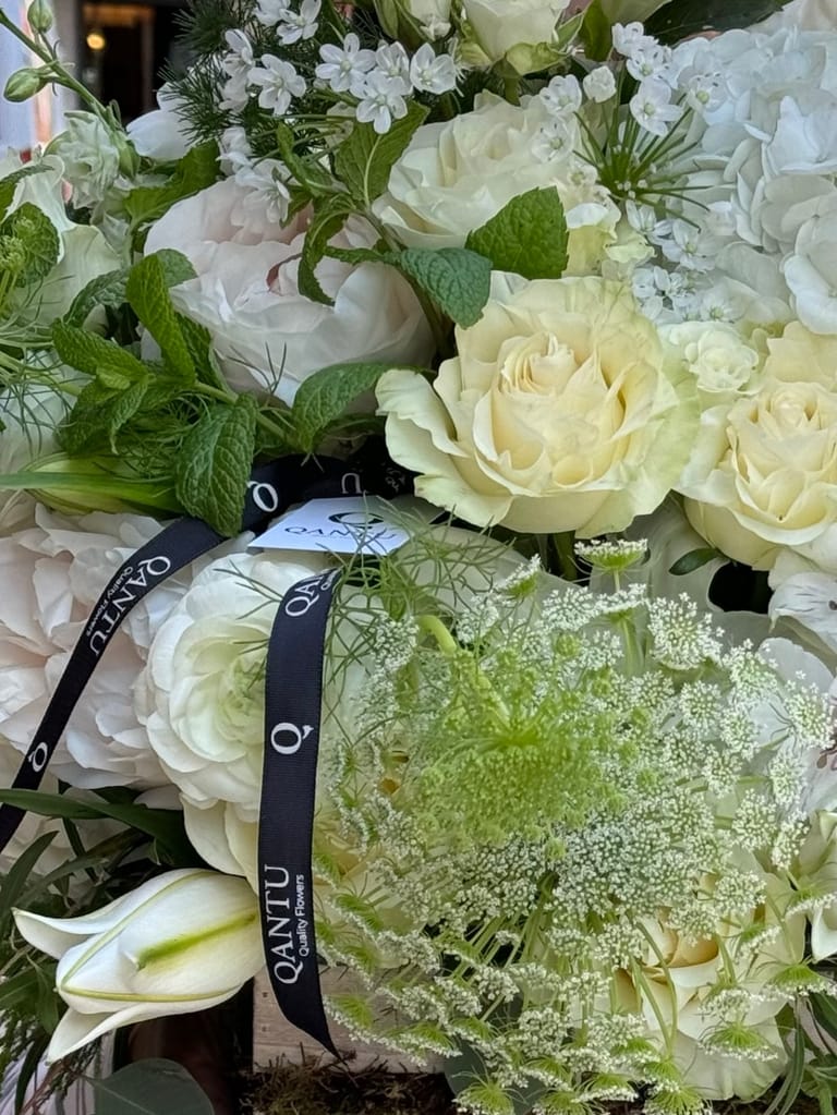 Eterna Belleza Blanca - Image 2