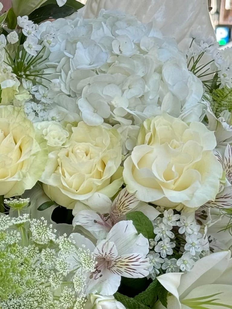 Eterna Belleza Blanca - Image 3