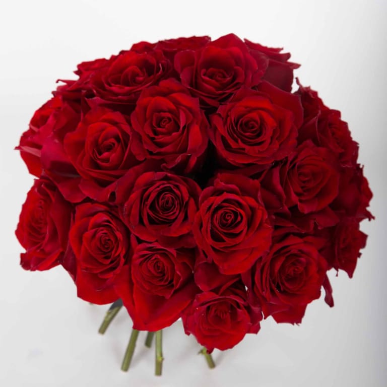 Bouquet Killa - Image 2