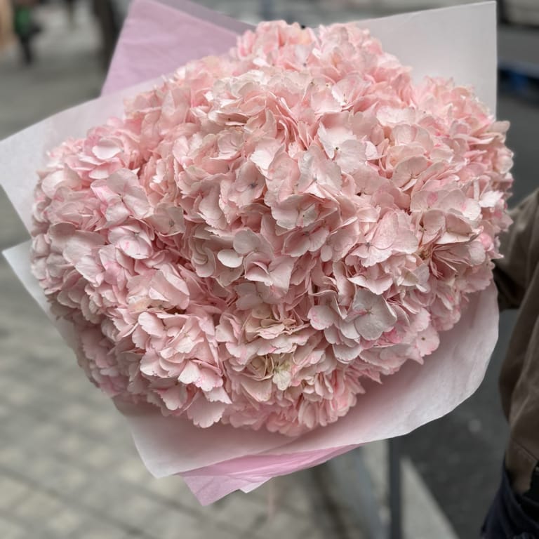 “ Pink forever” - Image 4