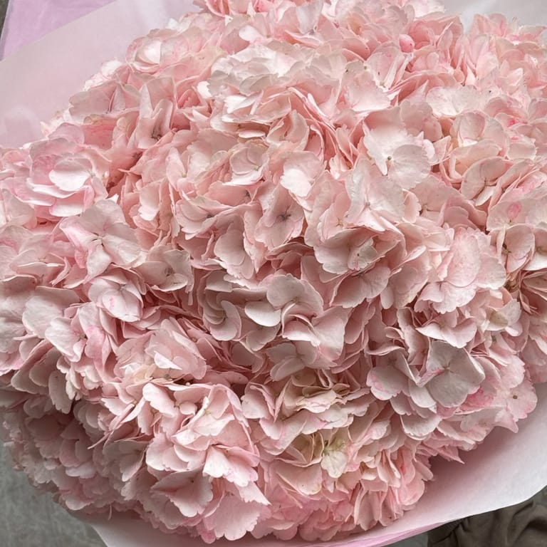 “ Pink forever” - Image 6