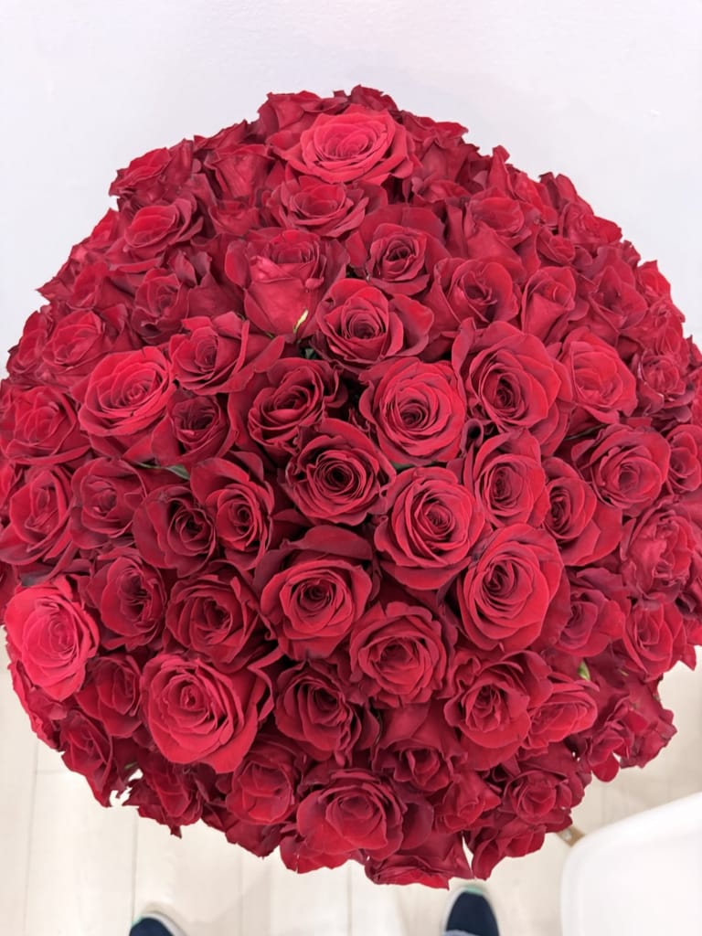 151 Rosas Rojas Premium - Image 6