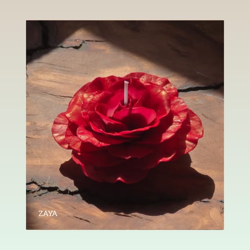 Red Rose