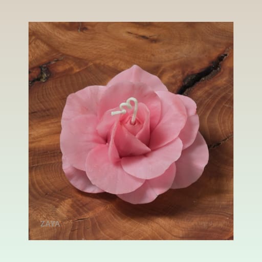 Soft Pink Rose